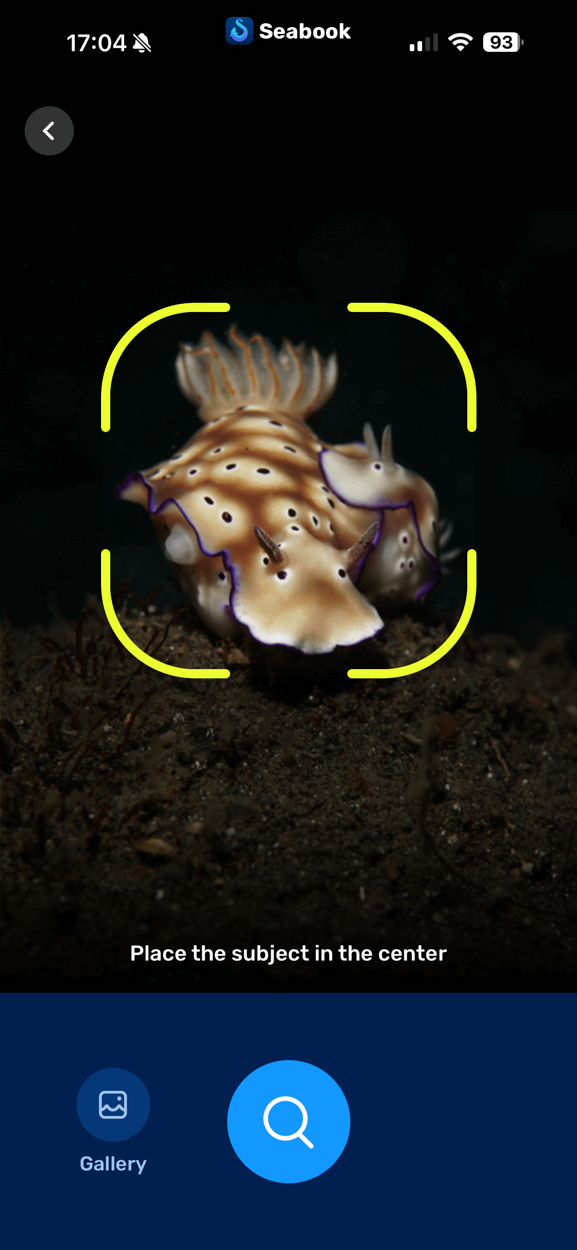Identify marine life