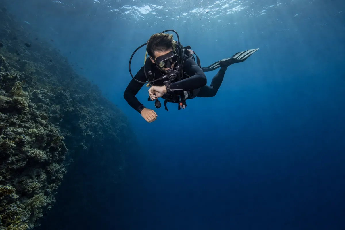 Scuba diver checking a dive computer above a reef wall